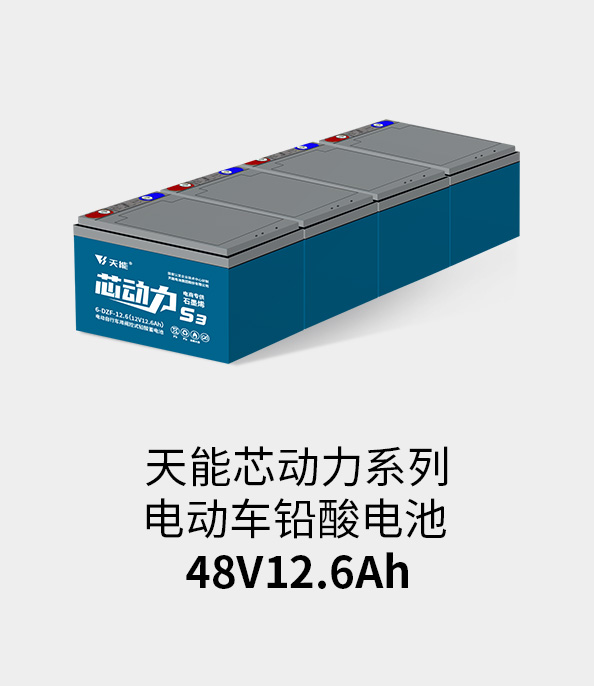 Z6ʱ48v12ah
