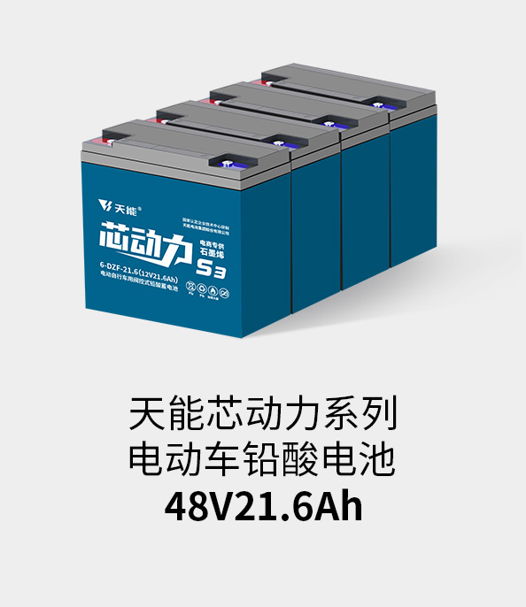 Z6ʱ48v20ah