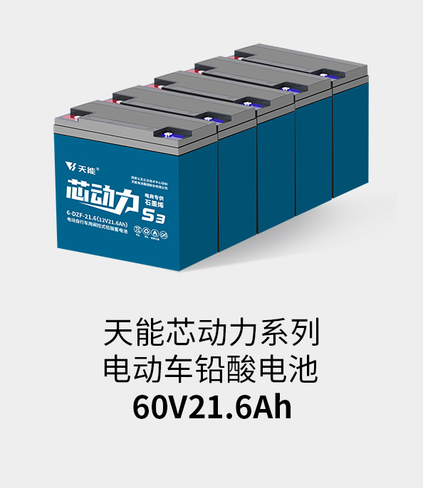 Z6ʱ60v20ah