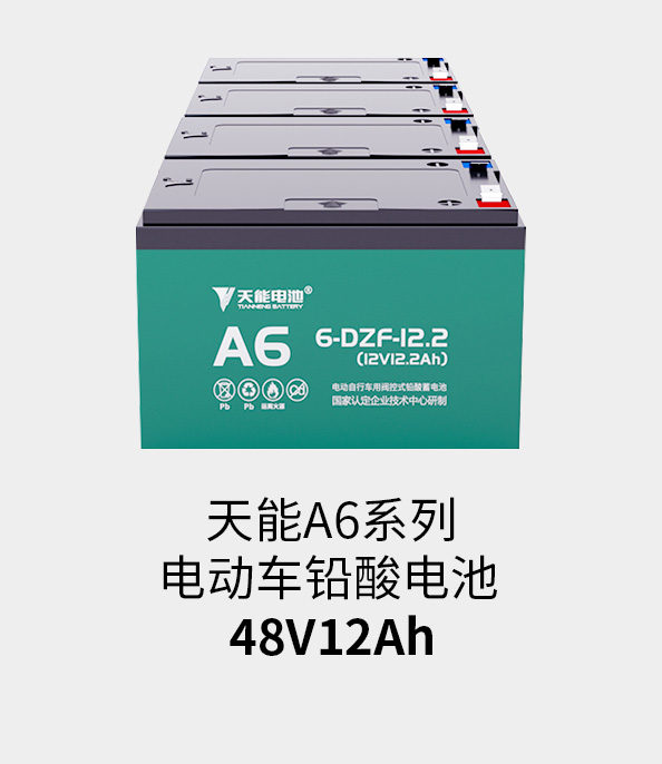 Z6ʱ48v12ah