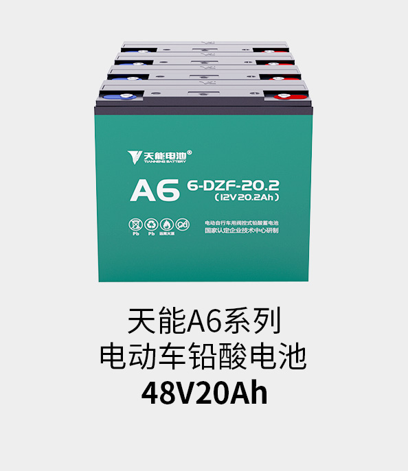 Z6ʱ48v20ah