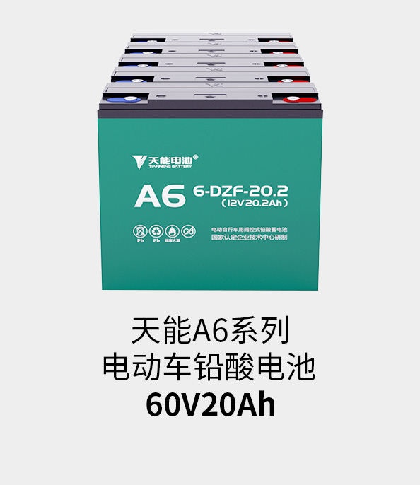 Z6ʱ60v20ah