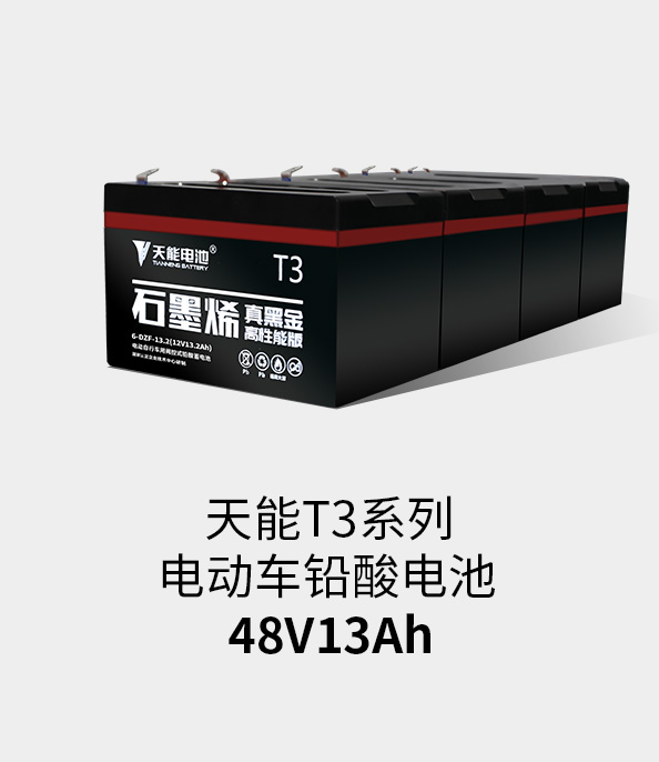 Z6ʱT3ϵ48v13ah