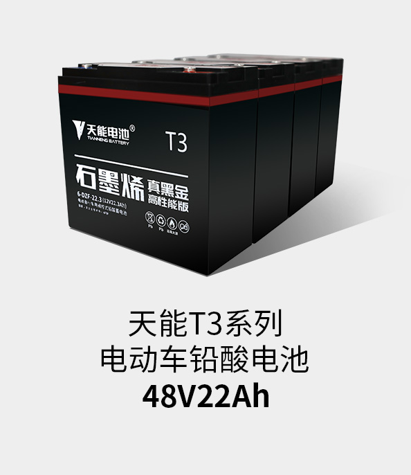 Z6ʱT3ϵ48v22ah