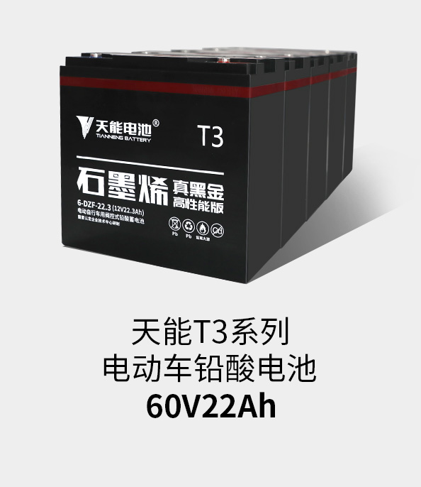 Z6ʱT3ϵ60v22ah