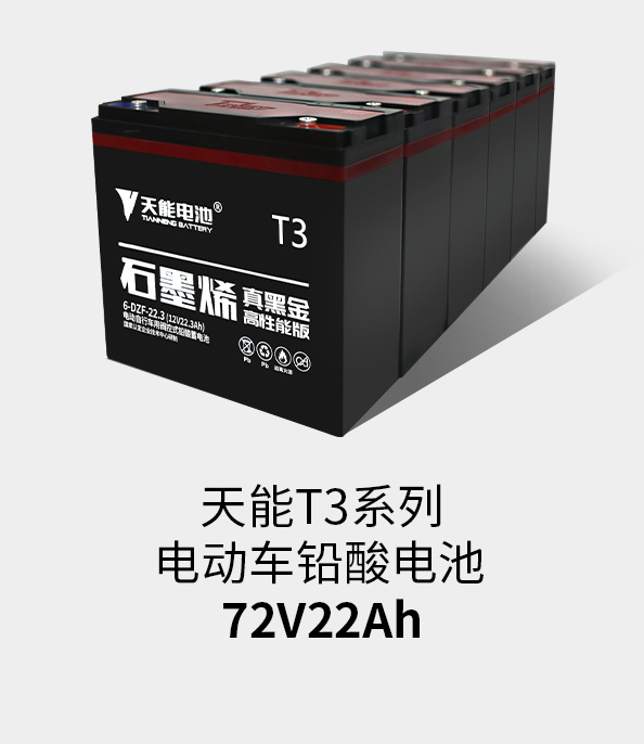 Z6ʱT3ϵ72v22ah
